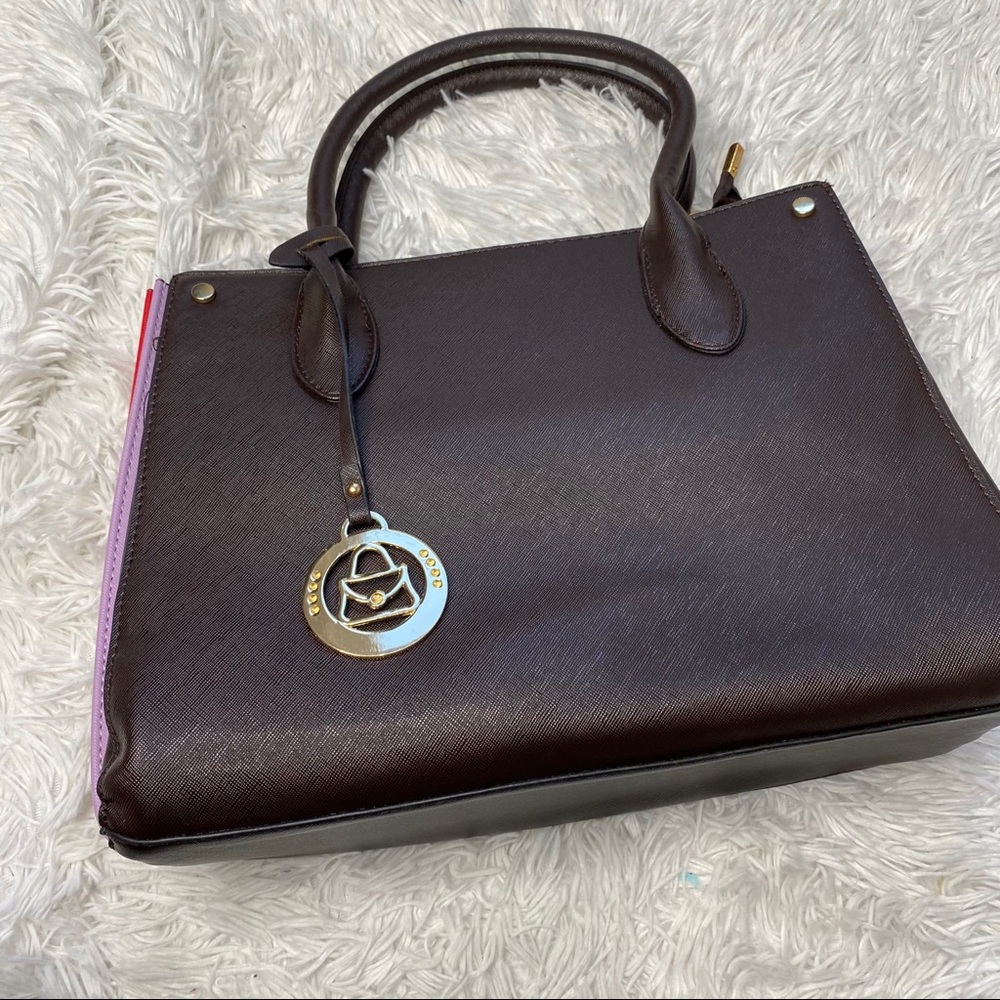 Bag with Removable Organizer